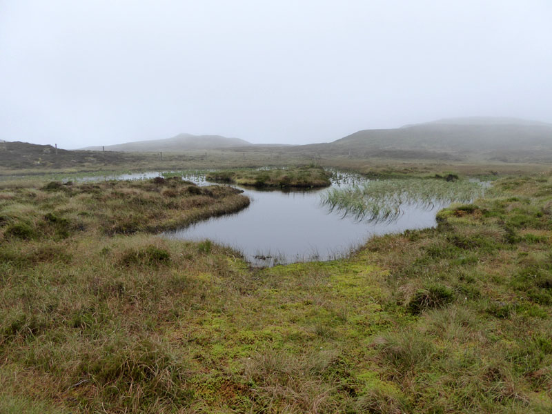 High Seat Tarn